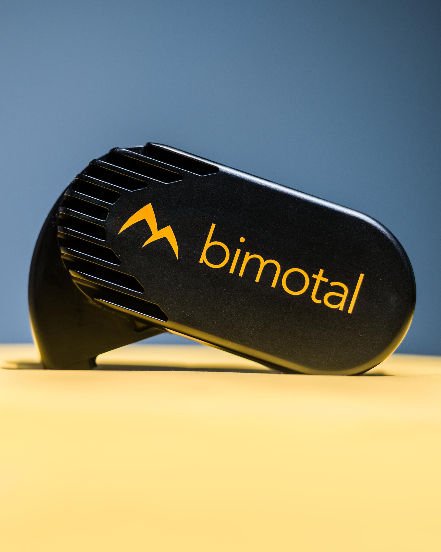 What's in a Name? The Story Behind Bimotal (Pronounced "Bye - Mow - Tahl")